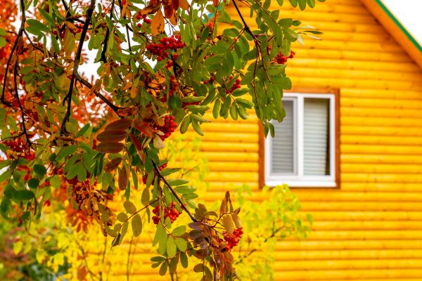 Cost of Garden Window Replacement in Auburn